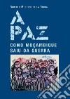 A paz. Como Moçambique saiu da guerra. E-book. Formato EPUB ebook