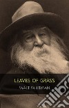 Leaves of Grass: The Original 1855 Edition (Illustrated). E-book. Formato EPUB ebook