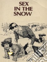 Sex In The Snow - Adult Erotica. E-book. Formato EPUB ebook