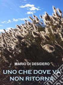 Uno che dove va non ritorna. E-book. Formato Mobipocket ebook di Mario Di Desidero