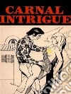 Carnal Intrigue (Vintage Erotic Novel). E-book. Formato EPUB ebook