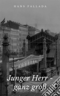 Junger Herr - ganz groß. E-book. Formato Mobipocket ebook di Hans Fallada