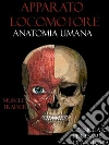 Apparato Locomotore - Anatomia Umana. E-book. Formato EPUB ebook di Muscle Trainer