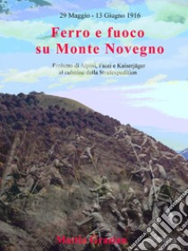 Ferro e fuoco su Monte Novegno: Eroismo di Alpini, Fanti e Kaiserjäger al culmine della Strafexpedition. E-book. Formato EPUB ebook di Mattia Grazian