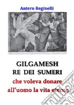 Gilgamesh Re di Sumeri che voleva donare all'uomo la vita eterna. E-book. Formato EPUB ebook