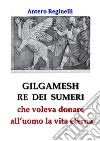 Gilgamesh Re di Sumeri che voleva donare all'uomo la vita eterna. E-book. Formato EPUB ebook di Antero Reginelli