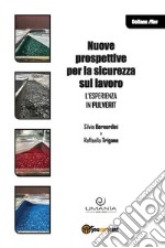 Nuove prospettive sulla sicurezza sul lavoro. L'esperienza in Pulverit. E-book. Formato EPUB ebook