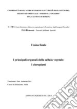 I principali organuli della cellula vegetale: i cloroplasti. E-book. Formato PDF ebook