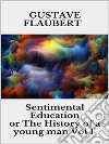 Sentimental Education, or The History of a young man Vol 1. E-book. Formato EPUB ebook