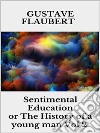 Sentimental Education, or The History of a young man Vol 2. E-book. Formato EPUB ebook