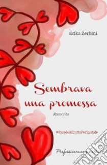 Sembrava una promessa. E-book. Formato PDF ebook di Erika Zerbini