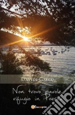 Non trovo parole, rifugio in Poesia. E-book. Formato PDF ebook