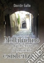 Moltitudine di polverosi frammenti esistenziali. E-book. Formato PDF