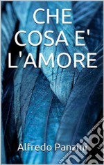 Che cosa è l'amore. E-book. Formato EPUB ebook