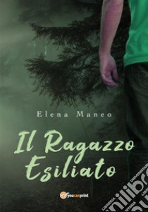 Il ragazzo esiliato. E-book. Formato EPUB ebook di Elena Maneo