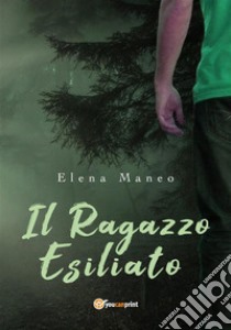 Il ragazzo esiliato. E-book. Formato PDF ebook di Elena Maneo