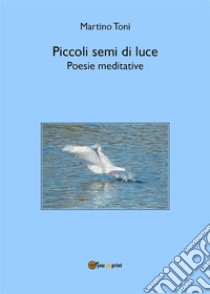 Piccoli semi di luce - Poesie meditative. E-book. Formato PDF ebook di Martino Toni