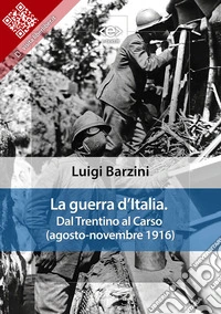La guerra d’Italia. Dal Trentino al Carso (agosto-novembre 1916). E-book. Formato EPUB ebook