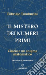 Il mistero dei numeri primi: Caccia a un enigma matematico. E-book. Formato EPUB