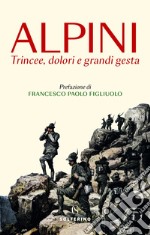 Alpini: Trincee, dolori e grandi gesta. E-book. Formato EPUB