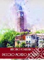 Piccolo mondo moderno. E-book. Formato EPUB ebook