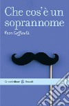 Che cos'è un soprannome. E-book. Formato EPUB ebook di Enzo Caffarelli