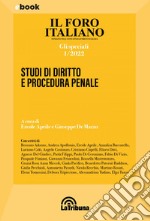 Studi di diritto e procedura penale: Gli speciali 1/2022. E-book. Formato EPUB