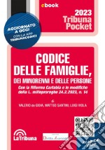 Codice delle famiglie, dei minorenni e delle persone: Seconda edizione 2023 Collana Pocket. E-book. Formato EPUB ebook