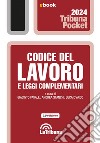 Codice del lavoro e leggi complementari: Edizione 2024 Collana Pocket. E-book. Formato EPUB ebook