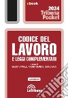 Codice del lavoro e leggi complementari: Edizione 2024 Collana Pocket. E-book. Formato EPUB ebook di Giacinto Favalli