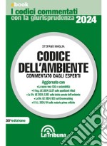 Codice dell'ambiente: Edizione 2024 Collana Commentati. E-book. Formato EPUB ebook