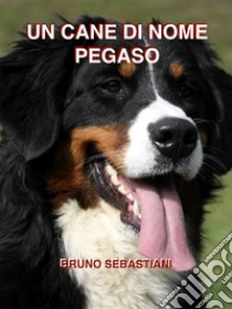 Un cane di nome Pegaso. E-book. Formato EPUB ebook di Bruno Sebastiani