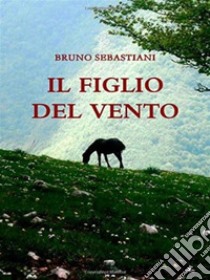 Il figlio del vento. E-book. Formato EPUB ebook di Bruno Sebastiani