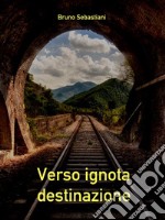 Verso ignota destinazione. E-book. Formato EPUB ebook