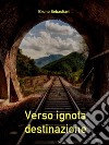 Verso ignota destinazione. E-book. Formato EPUB ebook di Bruno Sebastiani