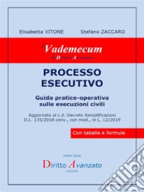 PROCESSO ESECUTIVO Guida pratico-operativa sulle esecuzioni civili: Aggiornata al c.d. Decreto Semplificazioni D.L. 135/2018 conv., con mod., in L. 12/2019. E-book. Formato Mobipocket ebook di Elisabetta VITONE