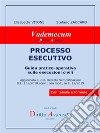 PROCESSO ESECUTIVO Guida pratico-operativa sulle esecuzioni civili: Aggiornata al c.d. Decreto Semplificazioni D.L. 135/2018 conv., con mod., in L. 12/2019. E-book. Formato EPUB ebook di Elisabetta VITONE