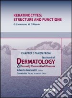 Keratinocytes: structure and functions. Chapter 3 taken from Textbook of dermatology & sexually trasmitted diseases. E-book. Formato EPUB ebook