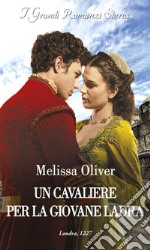 Un cavaliere per la giovane ladra. E-book. Formato EPUB