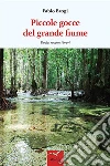 Piccole gocce del grande fiume. E-book. Formato EPUB ebook di Fabio Brogi