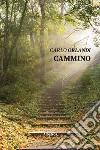 Cammino. E-book. Formato Mobipocket ebook di Carlo Orlandi
