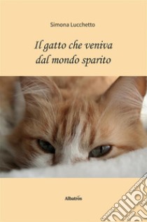 Il gatto che veniva dal mondo sparito. E-book. Formato EPUB ebook di Simona Lucchetto