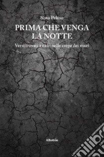 Prima che venga la notte. E-book. Formato EPUB ebook di Sisto Peluso