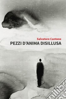 Pezzi d'anima disillusa. E-book. Formato EPUB ebook di Salvatore Cantone