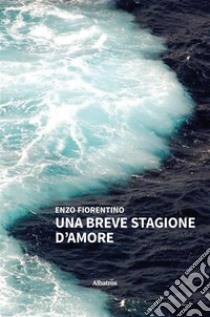 Una breve storia d'amore. E-book. Formato EPUB ebook di Enzo Fiorentino