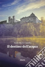 Il destino dell’acqua. E-book. Formato EPUB ebook