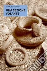 Una sezione volante. E-book. Formato EPUB