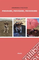 Prevenire, prevedere, provvedere. E-book. Formato EPUB ebook