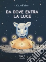 Da dove entra la luce. E-book. Formato EPUB