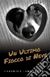 Un ultimo fiocco di neve. E-book. Formato EPUB ebook di Federico Iannaccone